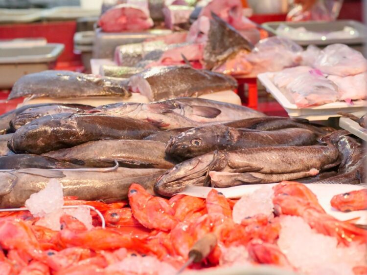 Étal de poissonnerie garni de poissons frais et de crevettes