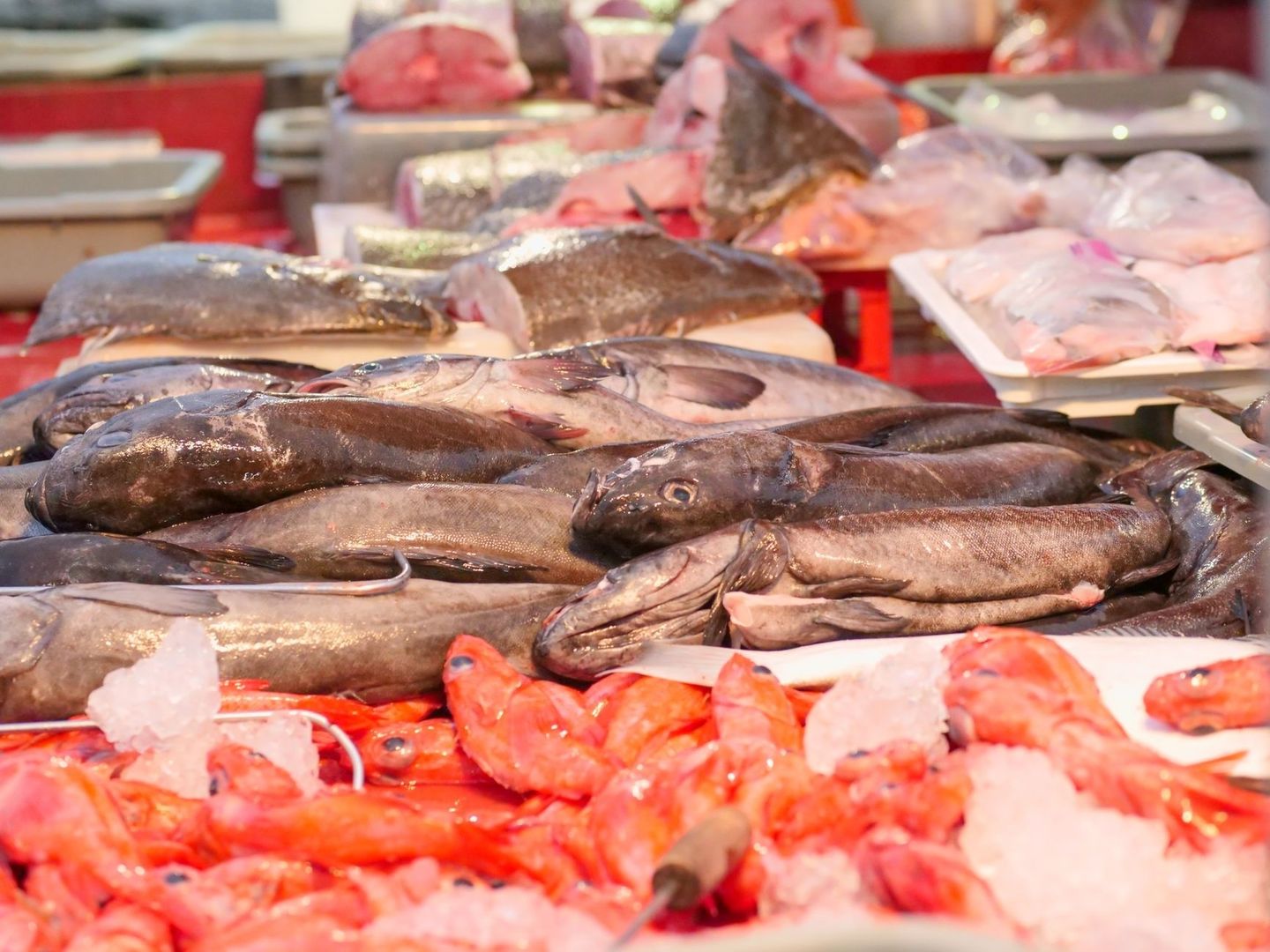 Étal de poissonnerie garni de poissons frais et de crevettes