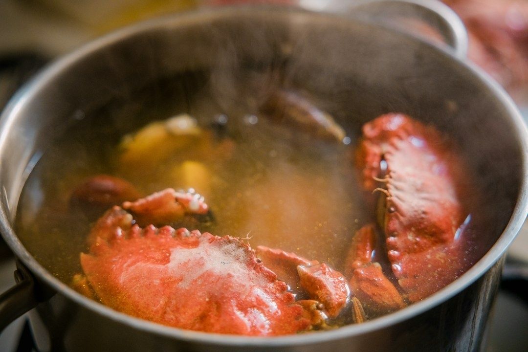 Tourteaux rouges cuisant dans une casserole d’eau fumante